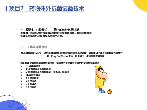 项目7药物体外抗菌试验技术