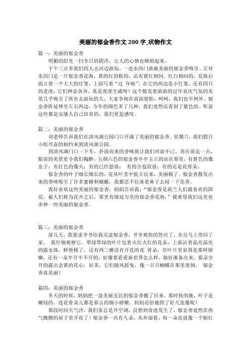 美丽的郁金香作文200字_状物作文