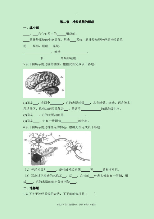 鲁科版生物七年级下册 4.6.2《神经系统的组成》同步练习