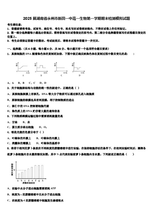 2025届湖南省永州市新田一中高一生物第一学期期末检测模拟试题含解析