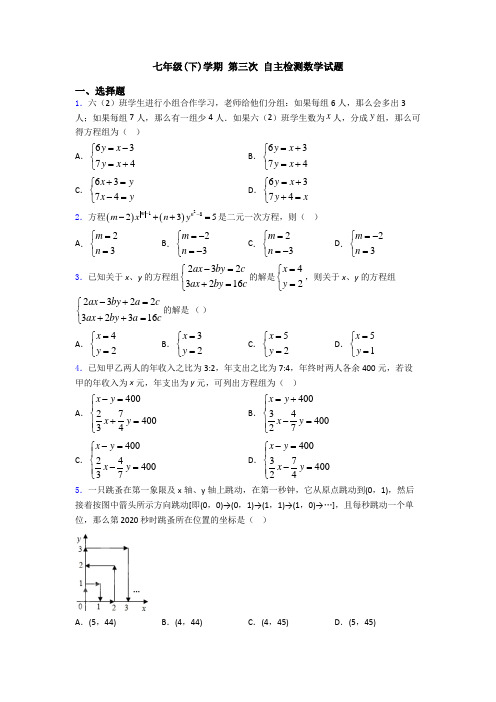 七年级(下)学期 第三次 自主检测数学试题