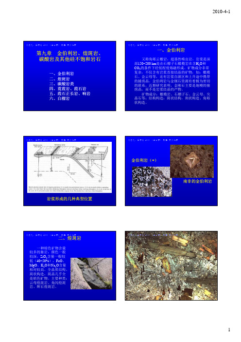 第九章金伯利岩,煌斑岩,碳酸岩及其他硅不饱和岩石