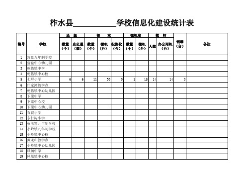 学校信息化建设统计表