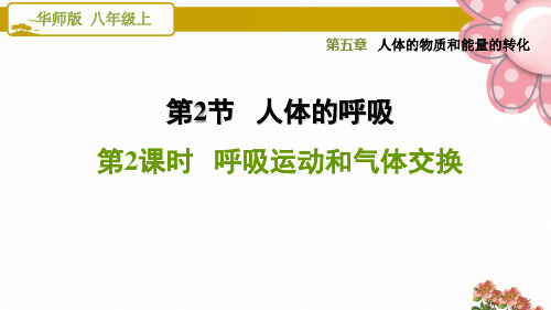 华师版八年级科学上册5.2.2 呼吸运动和气体交换ppt课件