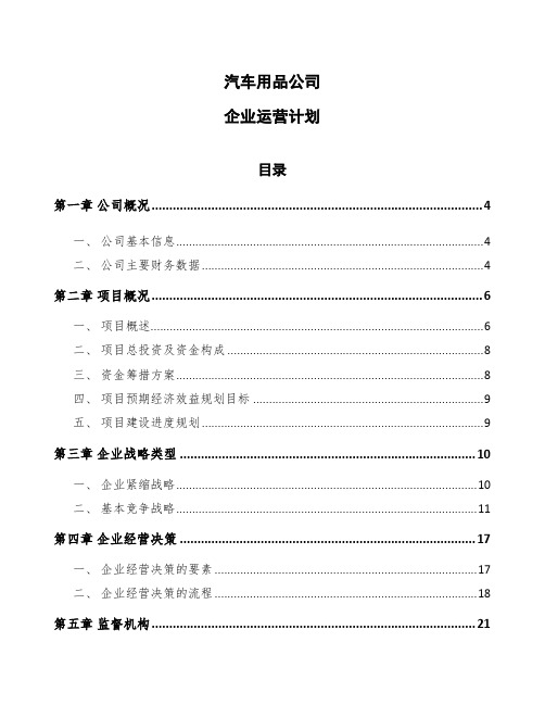 汽车用品公司企业运营计划模板