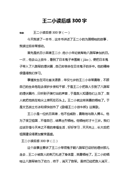 王二小读后感300字