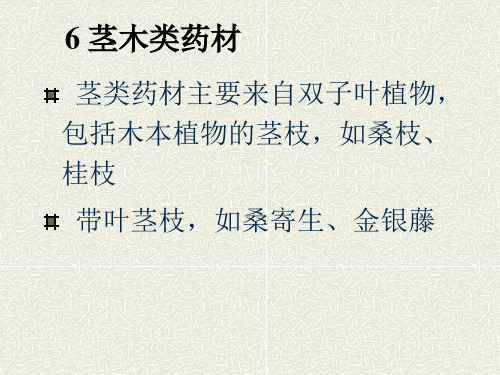 常见中药材鉴别