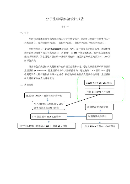 分子生物学实验设计报告