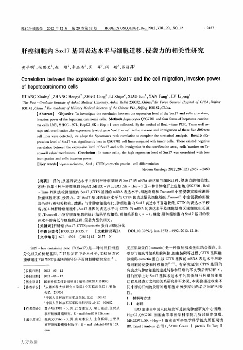 肝癌细胞内Sox17基因表达水平与细胞迁移、侵袭力的相关性研究