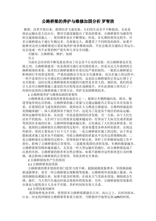 公路桥梁的养护与维修加固分析 罗智胜