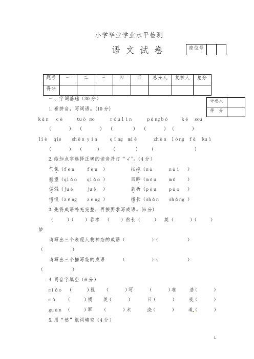 六年级下册语文小升初试题-毕业学业水平检测(人教版,含答案)