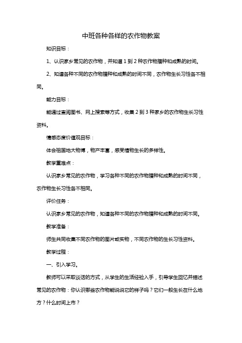 中班各种各样的农作物教案