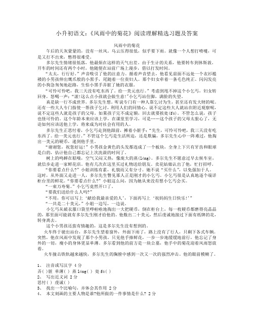 小升初语文：《风雨中的菊花》阅读理解精选习题及答案