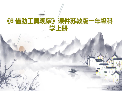 《6 借助工具观察》课件苏教版一年级科学上册32页PPT