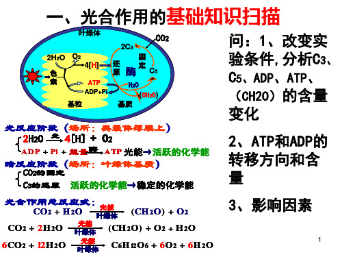 高考一轮复习光合作用与呼吸作用专题PPT课件