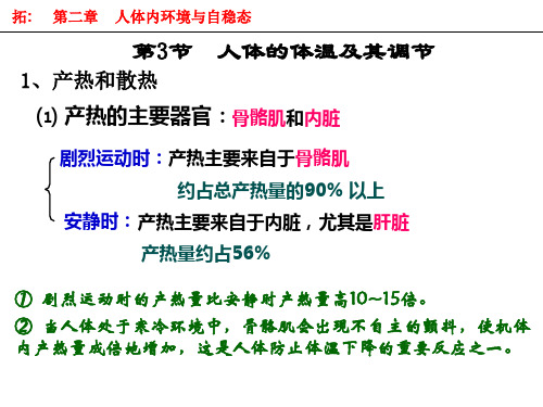 人体的体温及其调节(2)