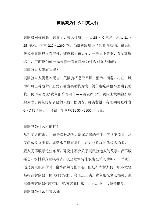 黄鼠狼为什么叫黄大仙