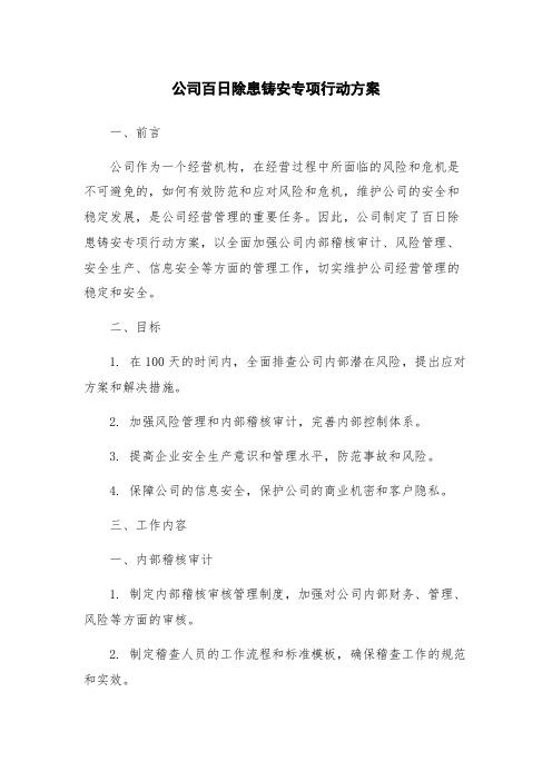 公司百日除患铸安专项行动方案