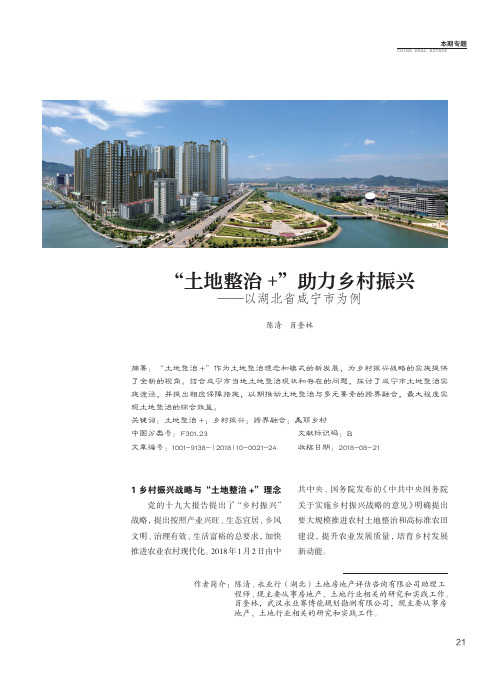 “土地整治+”助力乡村振兴——以湖北省咸宁市为例