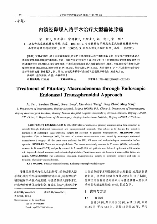 内镜经鼻蝶入路手术治疗大型垂体腺瘤
