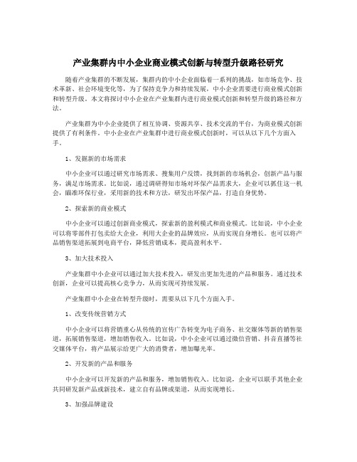 产业集群内中小企业商业模式创新与转型升级路径研究