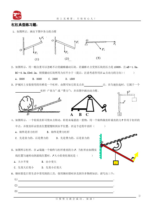 3杠杠和滑轮典型练习题A4