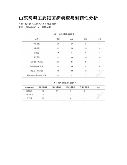 山东肉鸭主要细菌病调查与耐药性分析