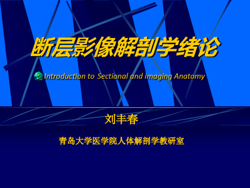 断层解剖学绪论