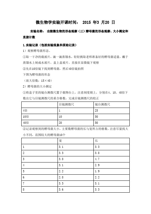 微生物实验酵母菌的计数形态观察