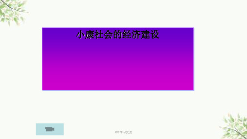 小康社会的经济建设ppt课件