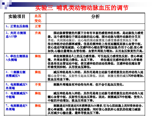 哺乳动物动脉血压调节