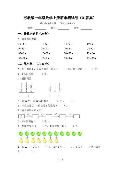 苏教版一年级数学上册期末测试卷(加答案)