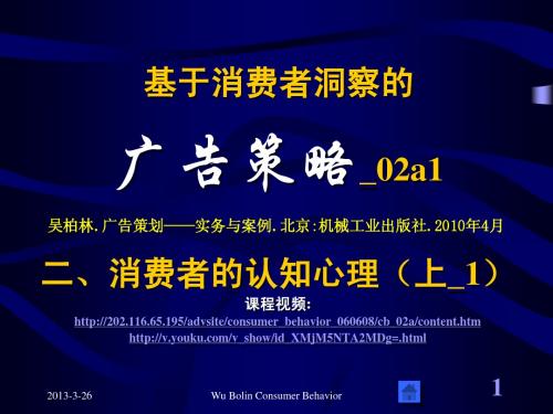 中山大学吴柏林教授,基于消费者洞察的广告策略,绝密资料,网络视频版_02a1