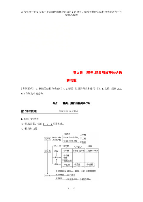 高考生物一轮复习第一单元细胞的化学组成第3讲糖类、脂质和核酸的结构和功能备考一体学案苏教版