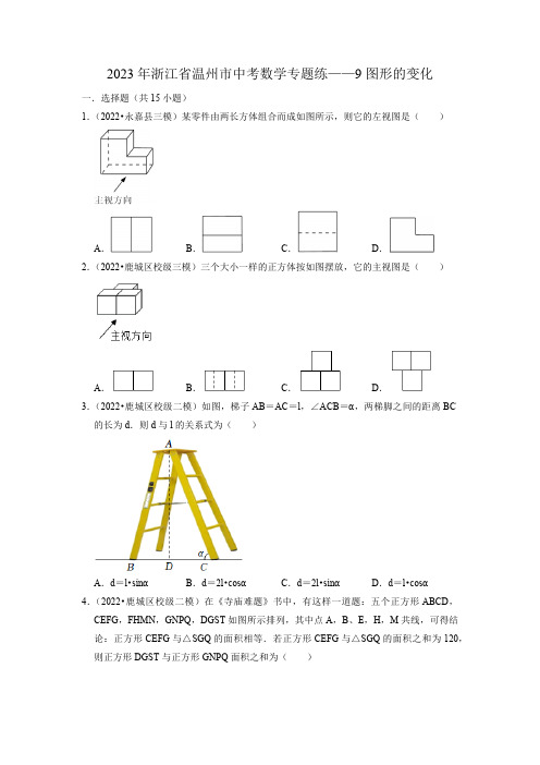 2023年九年级中考数学专题练——图形的变化(含解析)