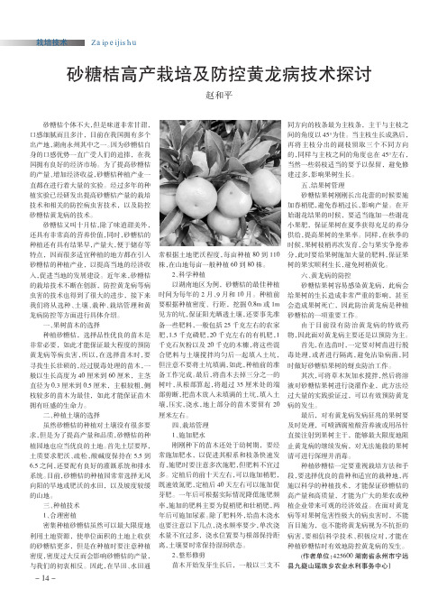 砂糖桔高产栽培及防控黄龙病技术探讨