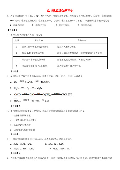 2018年中考化学重要考点 盐与化肥综合练习卷