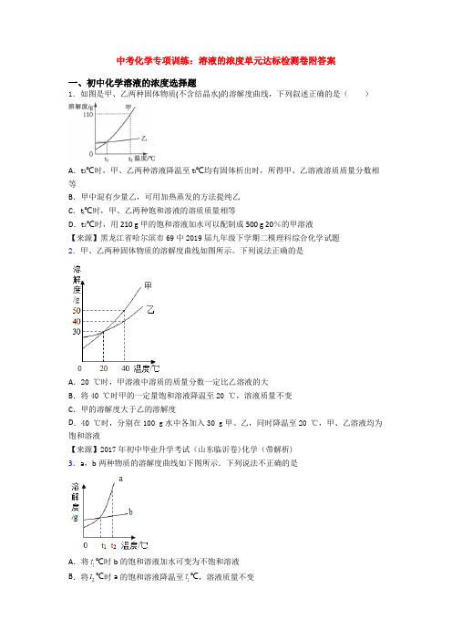 中考化学专项训练：溶液的浓度单元达标检测卷附答案