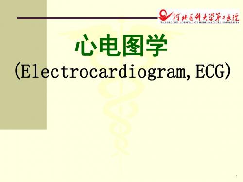 心电图基础5-心律失常