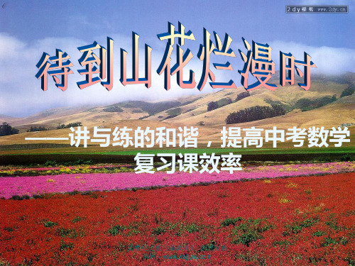 江西中考数学复习研讨会资料-2