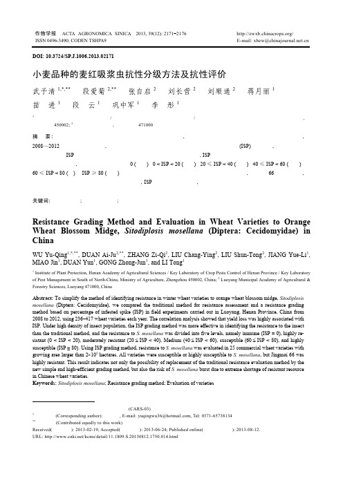 小麦品种的麦红吸浆虫抗性分级方法及抗性评价