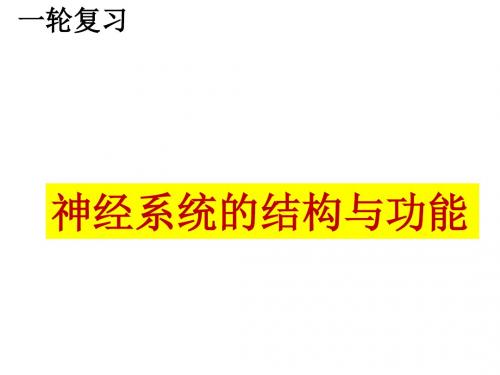 浙江省2019年高考生物一轮专题复习精品课件：神经系统的结构与功能 (共26张PPT)