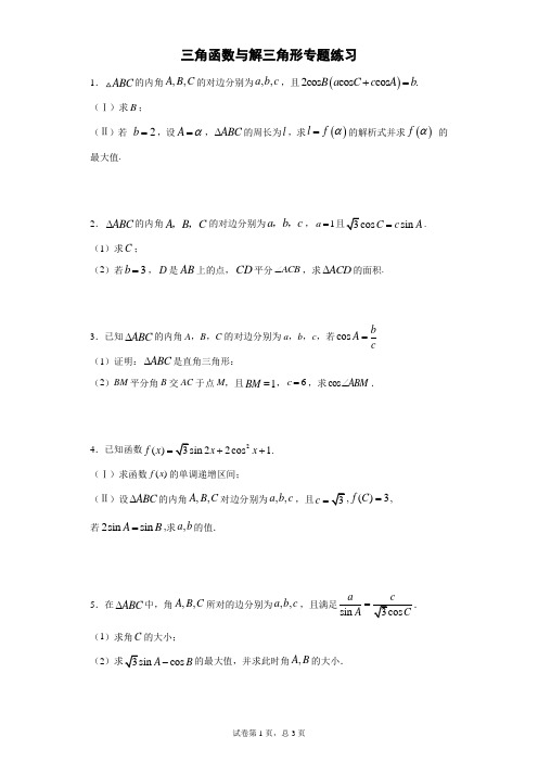 三角函数与解三角形高考专题大题练习(含答案)