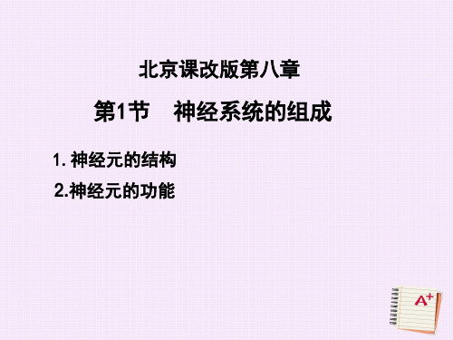北京课改版-生物-七年级下册-8.1 神经系统的组成 第2课时