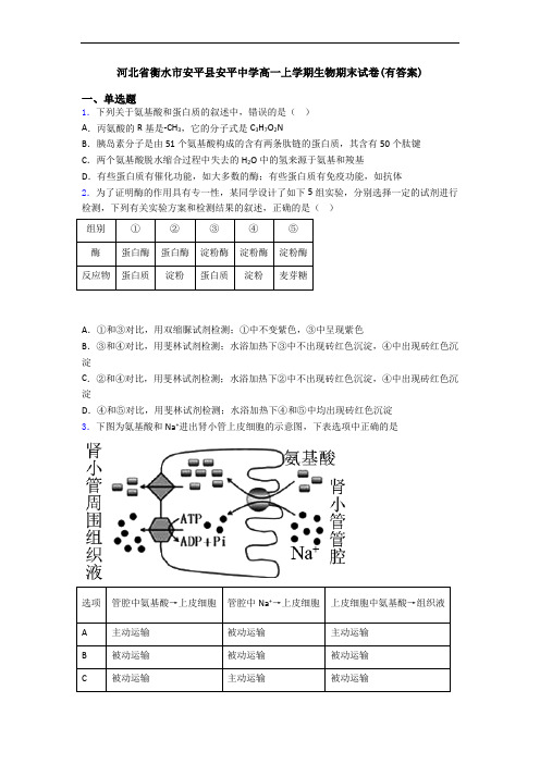 河北省衡水市安平县安平中学高一上学期生物期末试卷(有答案)