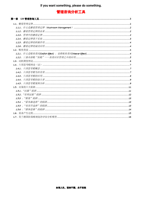 《管理咨询分析工具》