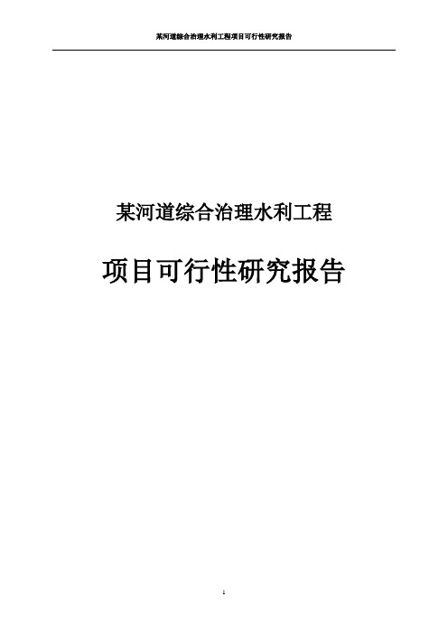 某河道综合治理水利工程项目可行性研究报告