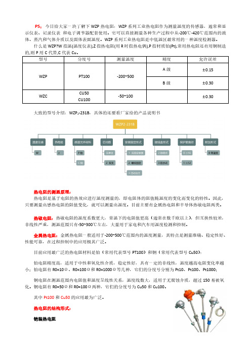 WZP热电阻介绍