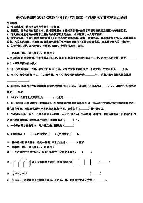 鹤壁市鹤山区2024-2025学年数学六年级第一学期期末学业水平测试试题含解析