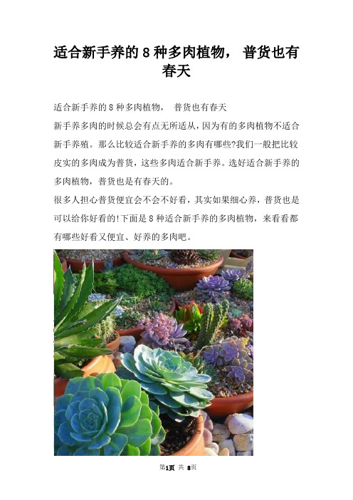 适合新手养的8种多肉植物， 普货也有春天